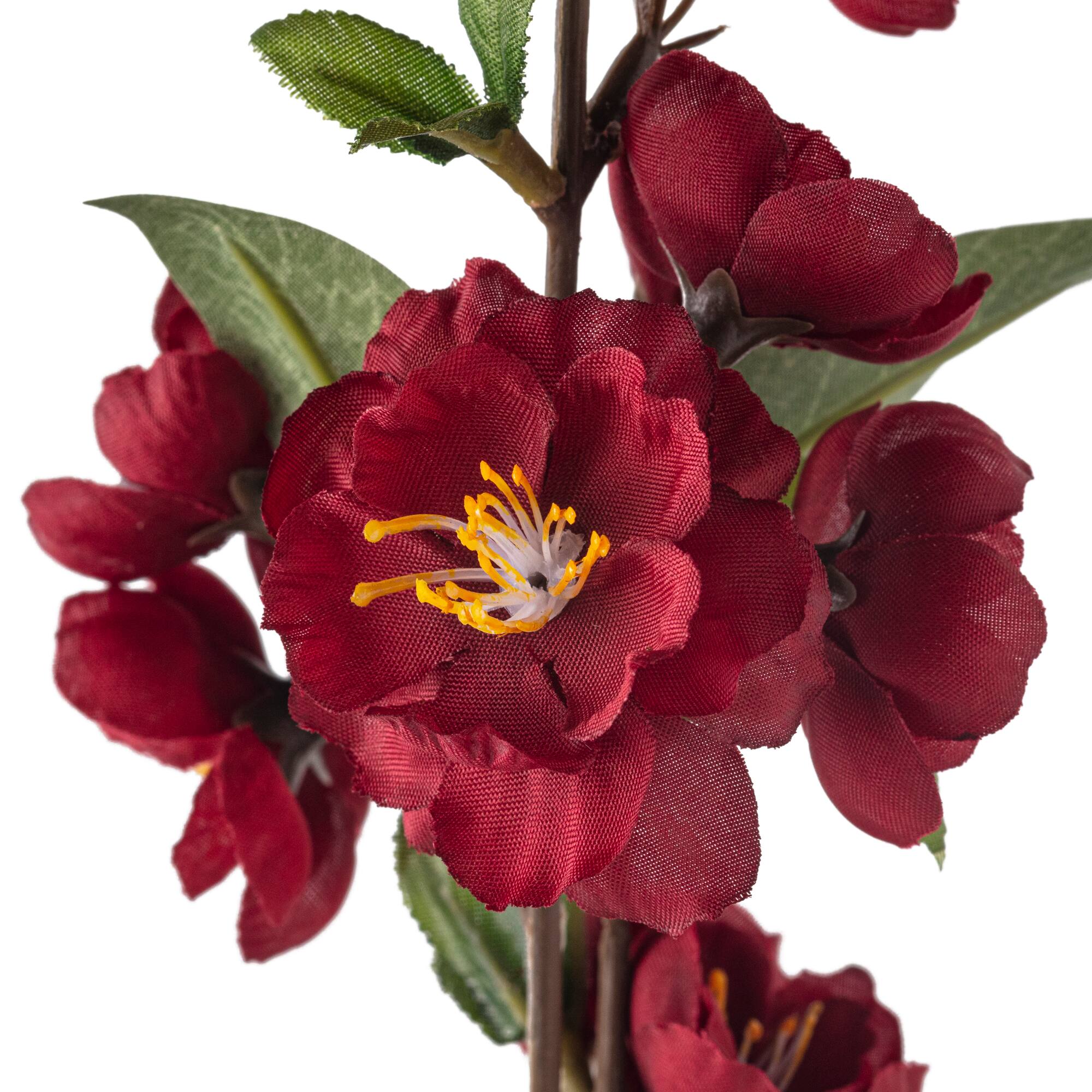 12 Pack: Burgundy Blossom Spray by Ashland®